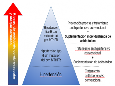 Lanzamiento de nuevo producto - Kit de PCR en tiempo real MCA para el gen MTHFR de Hybribio aprobado por NMPA